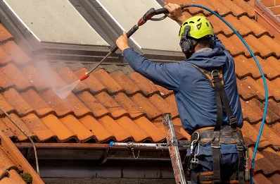 Démoussage et hydrofuge de toiture à Gastines